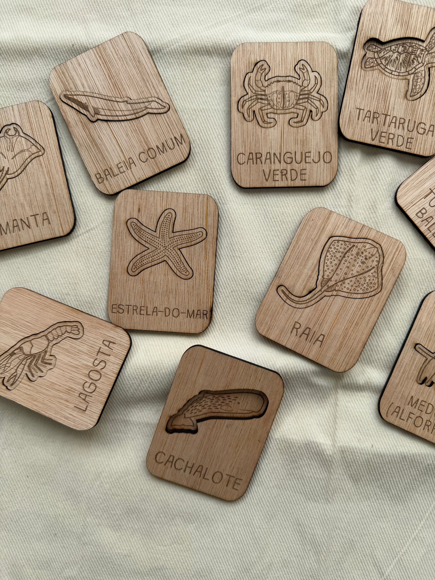 Animais do Oceano - Puzzle