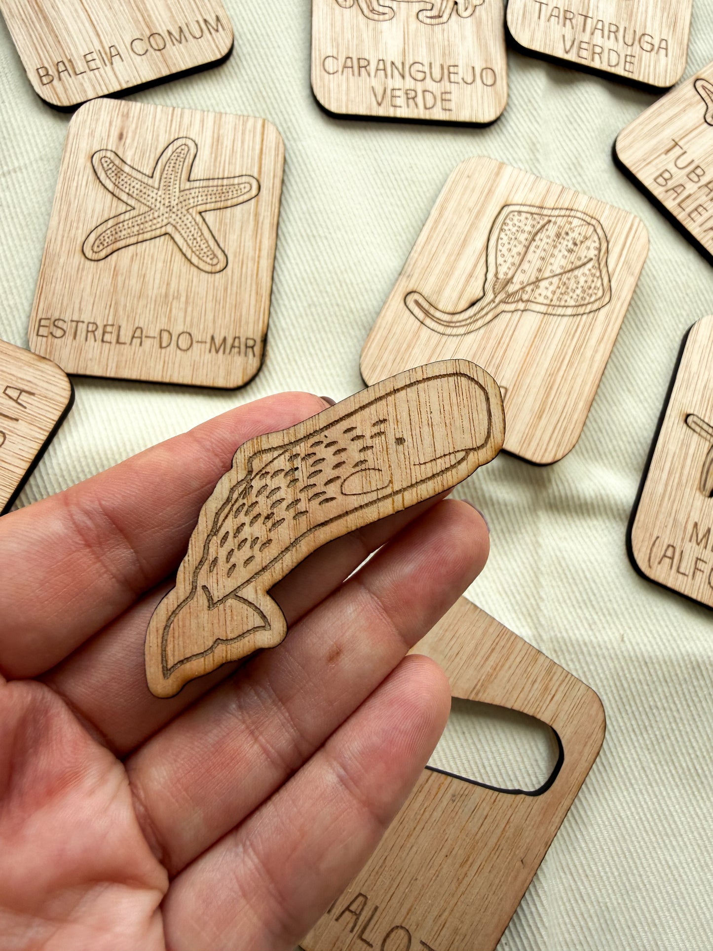 Animais do Oceano - Puzzle