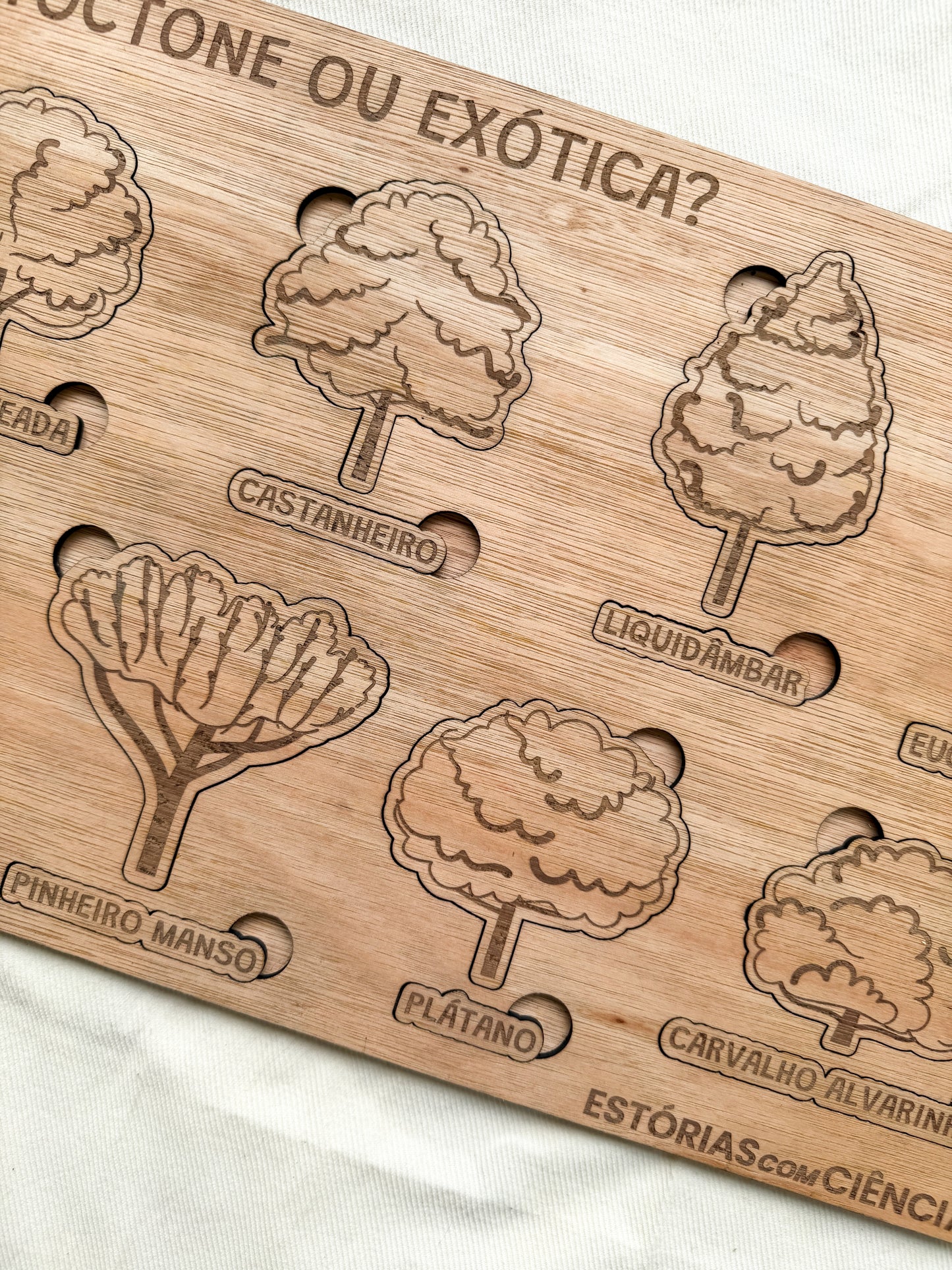 Autóctone ou Exótica - Puzzle Grande