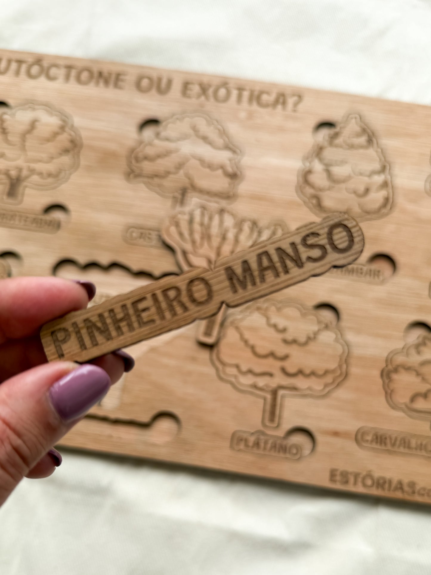 Autóctone ou Exótica - Puzzle Grande