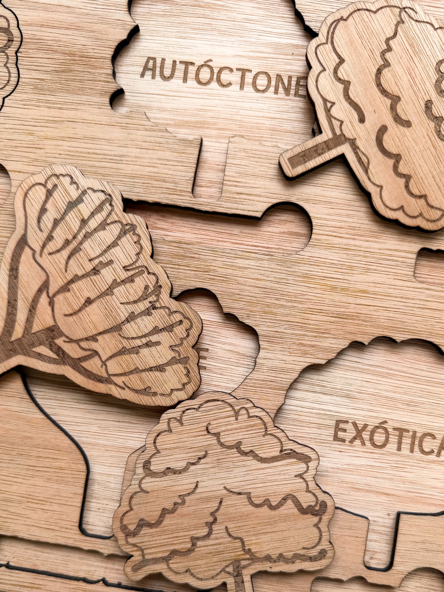 Autóctone ou Exótica - Puzzle Grande