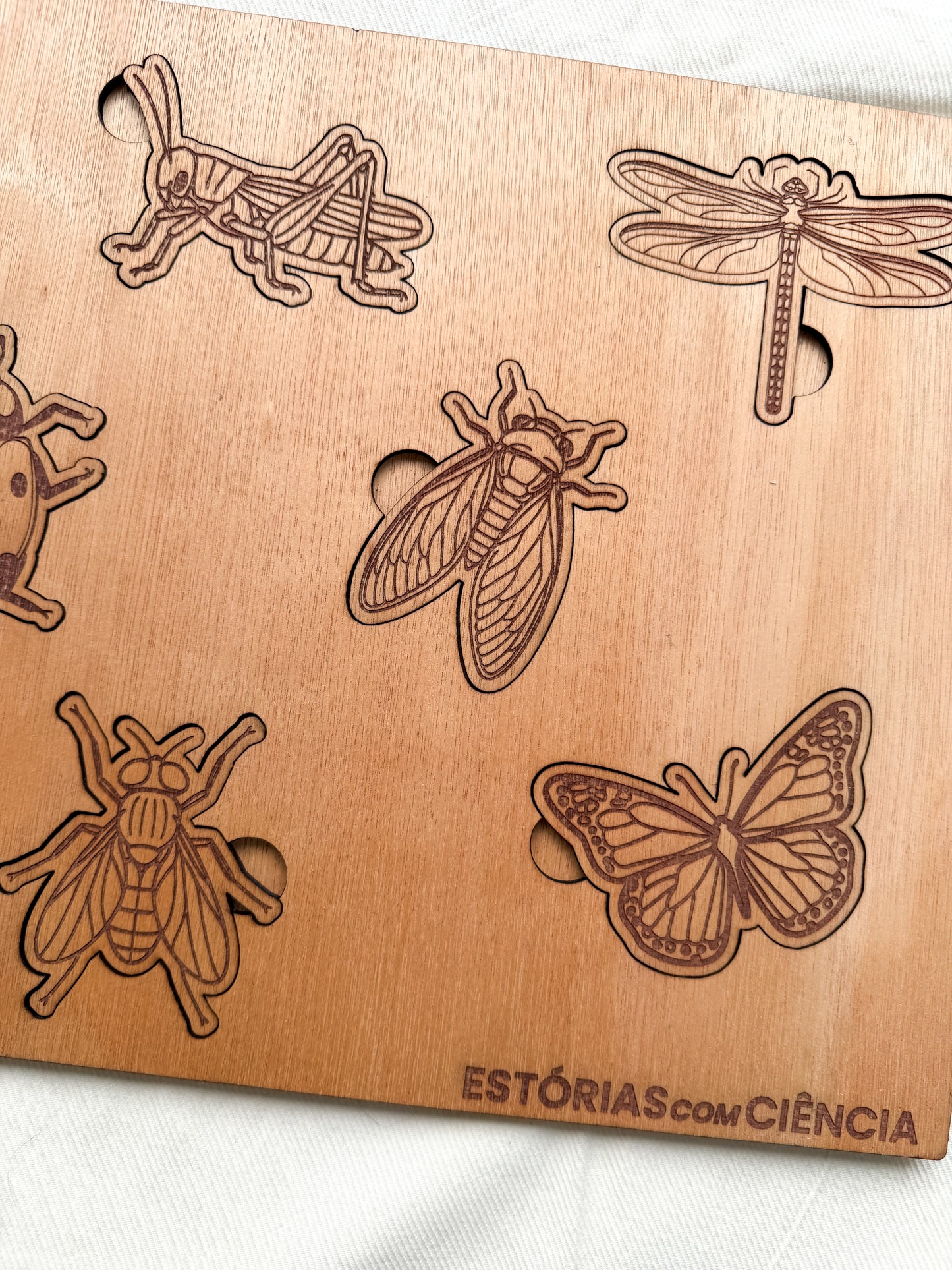 Os Insetos - Puzzle Grande