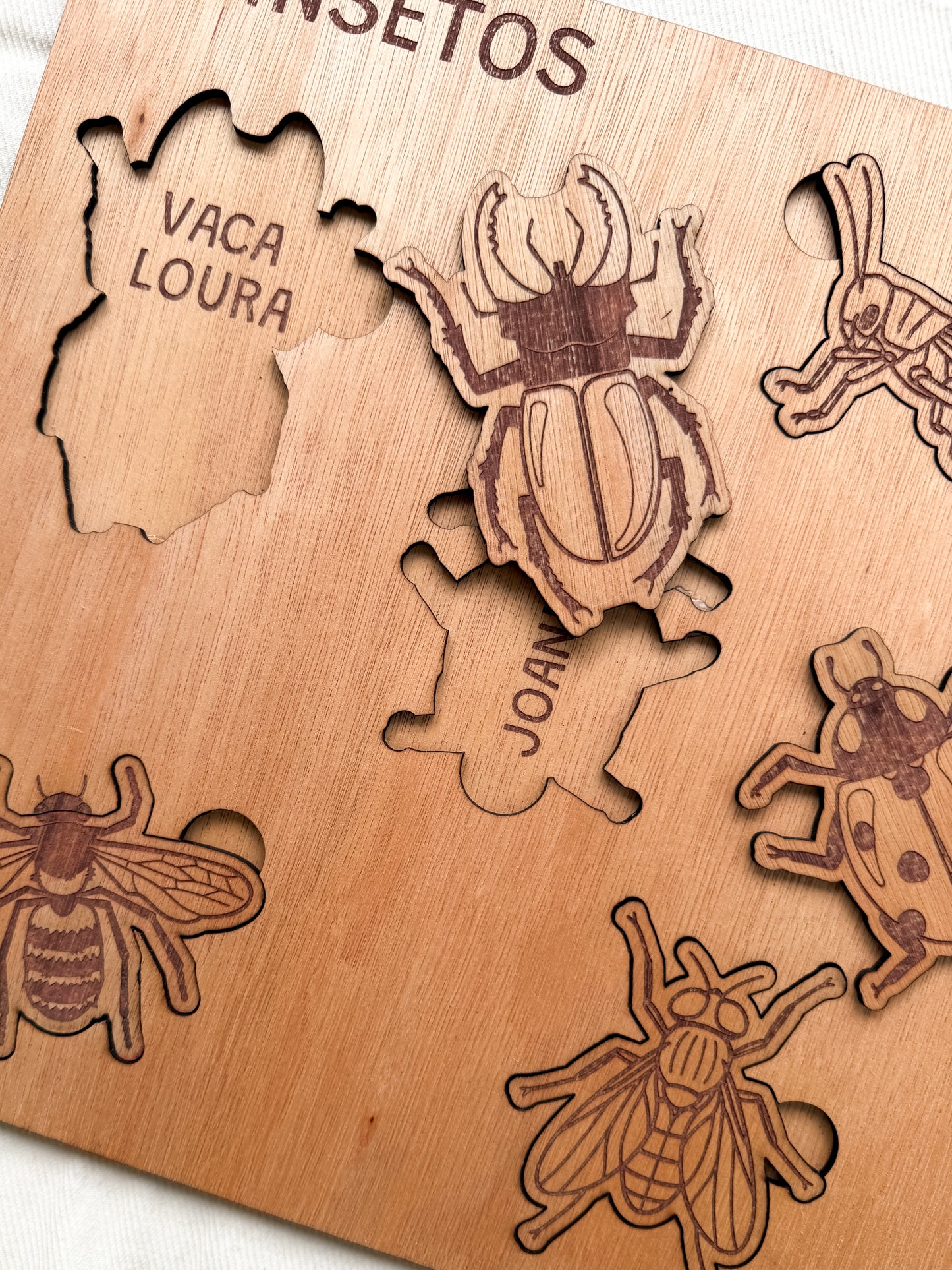 Os Insetos - Puzzle Grande