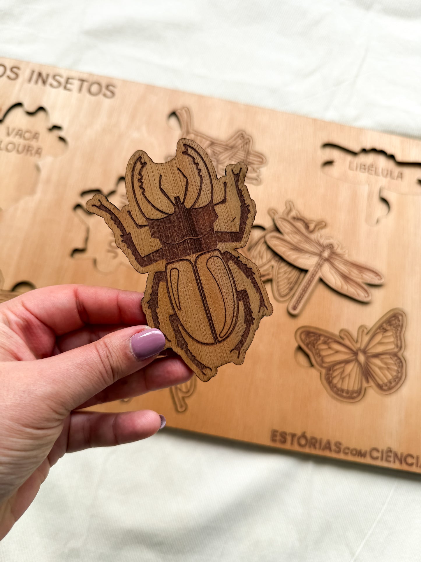 Os Insetos - Puzzle Grande