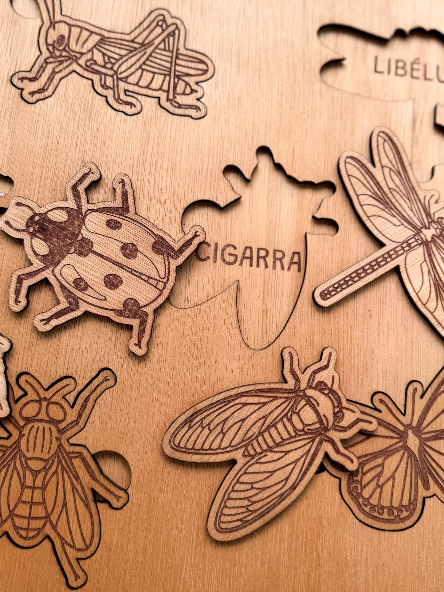 Os Insetos - Puzzle Grande