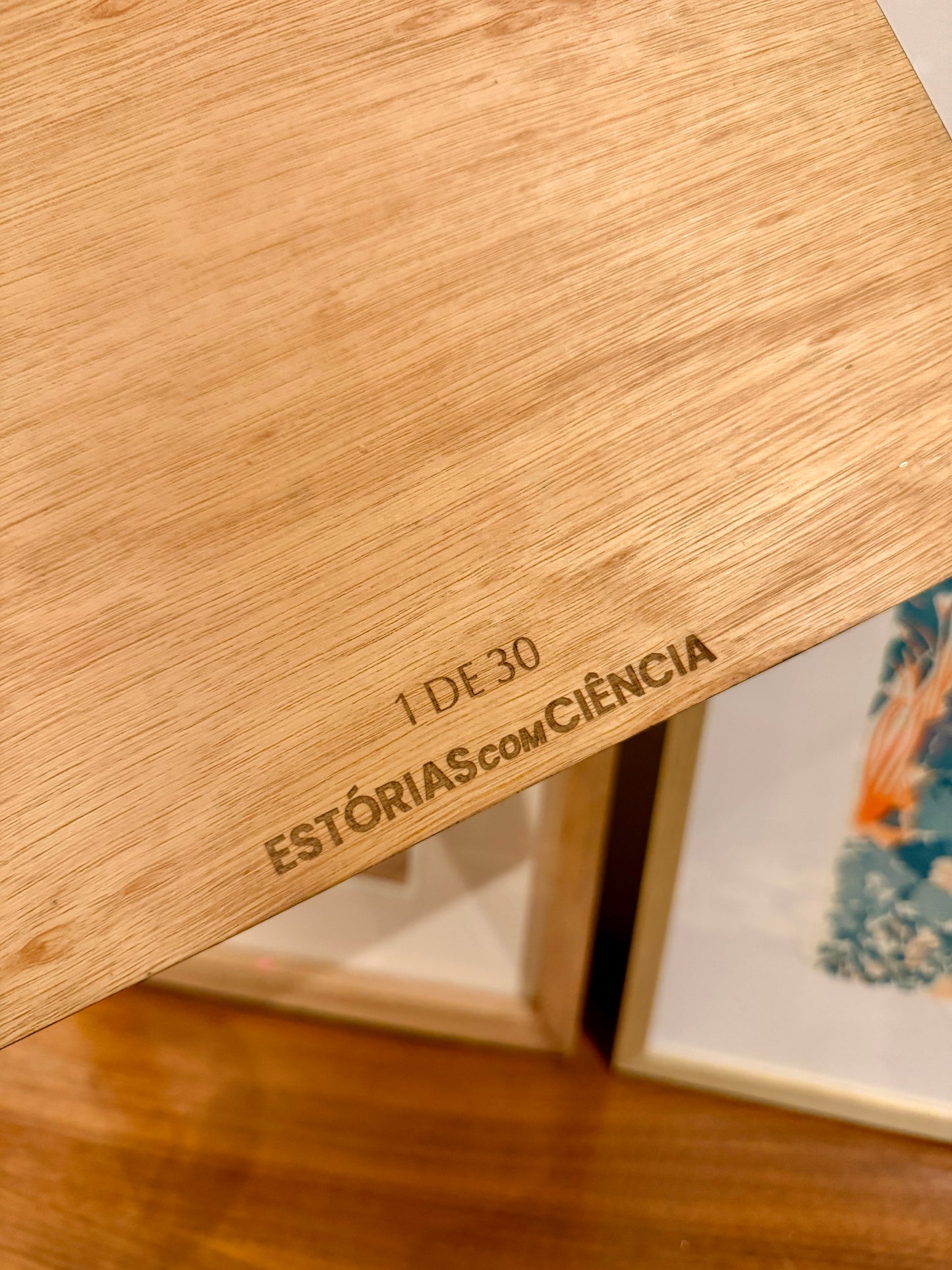 Calendário da Curiosidade – Edição de 2025